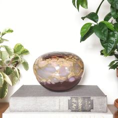 a vase sitting on top of a book next to a potted plant and some books