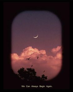 birds flying in the sky at dusk with a half moon