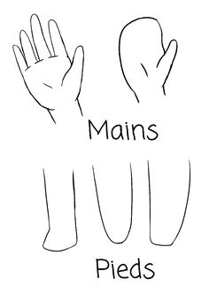 two hands with the words mains and pieds written below them in black on a white background