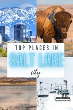 Photos of different places in Salt Lake City Utah Utah Travel Guide, Great Salt Lake, Antelope Island, Utah Travel, Sunny California, Before Sunset, Nature Adventure