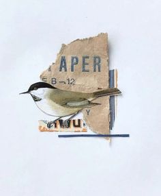 a bird sitting on top of a piece of torn paper