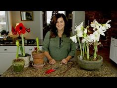 a woman standing in front of three potted flowers on a kitchen counter with scissors