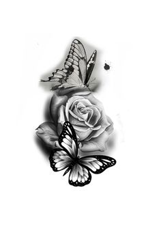 black and white drawing of a rose with two butterflies on it's back side