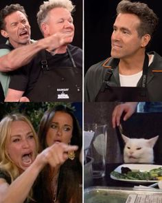 four different pictures of people and cats in the process of making funny faces at each other