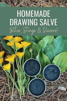 Herbal Salve Recipes, Medicinal Herbs Remedies, Homemade Salve, Drawing Salve, Home Apothecary, Medicinal Wild Plants, Herbal Medicine Recipes, Diy Herbal Remedies, Herbal Remedies Recipes