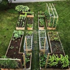 a garden with many different types of plants and vegetables growing in it's beds