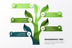 a tree with green leaves and numbered steps for infografic trees on white background