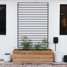 a planter box with plants in it on the side of a white building next to two black shuttered windows