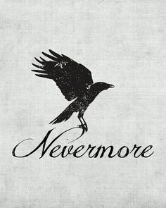 a black bird with the words nevermore on it