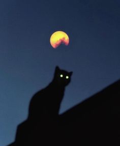 a black cat sitting on top of a roof with the moon in the background