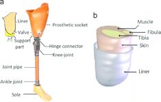 the parts of an umbrella are shown in this diagram