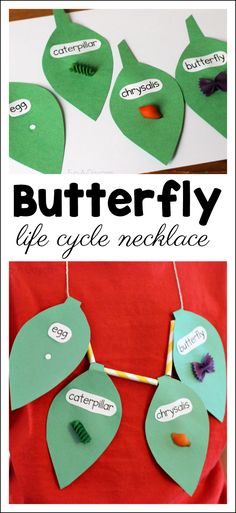 the butterfly life cycle necklace is made out of paper and cut into pieces to make it