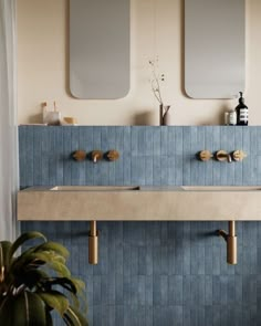 a bathroom with two sinks and mirrors on the wall next to a potted plant