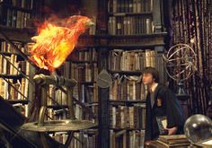 a person standing in front of a book shelf filled with books and a bird on top of it