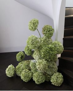 a bunch of green flowers sitting on top of a wooden floor next to some stairs