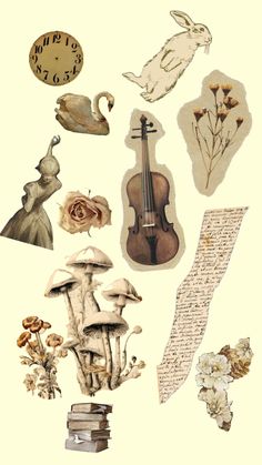 an image of various things that are in the shape of a collage on paper