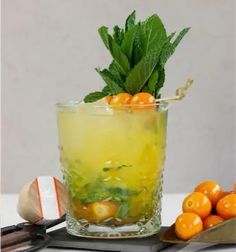 a drink with oranges and mint garnish in it