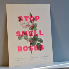 a pink rose is on top of a white shelf with the words stop and smell