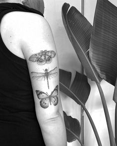 a black and white photo of a woman's arm with dragonfly tattoos on it