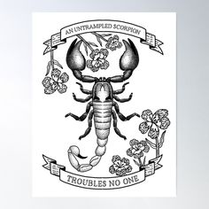 a black and white drawing of a scorpion poster