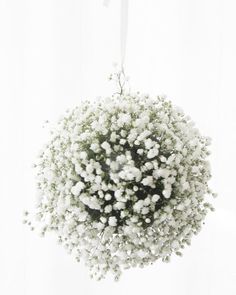 Step By Step : Baby's Breath Globe Diy Wedding Tent, Globe Diy, Babies Breath, Baby S Breath, Wedding Tent, Craft Wedding, Rustic Chic Wedding, Wedding Crafts