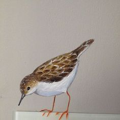 a painting of a bird standing on top of a light switch