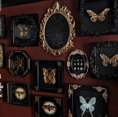 there are many framed pictures on the wall with gold and black decorations around them,