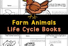 farm animals life cycle books for kids to color and write with their own name on the page