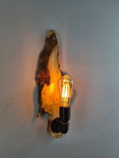 a light that is on the side of a wall with a lamp attached to it