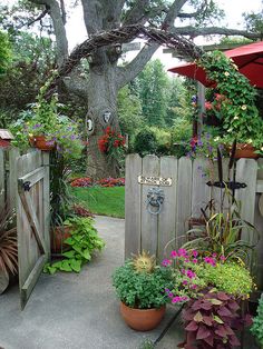 a wooden gate surrounded by potted plants and flowers in front of a large tree