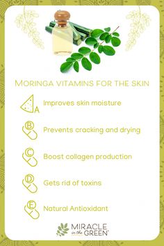 Rolling Back the Years: Using Moringa in Your Anti-Aging Routine A busy life, unfortunately, can mean rapid aging. The modern world contains many factors that contribute to aging skin and a generally tired appearance. Even if we are careful and do our best to stay healthy and protected, it is difficult to avoid these f Moringa Benefits, Soap Benefits, Yoga Information, Moringa Powder, Skin Advice, Womens Health Care, Boost Collagen Production, Eye Circles