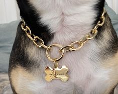 a dog wearing a gold chain collar with a small bone charm on it's neck