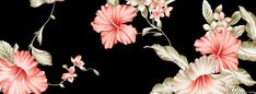 a black background with pink and white flowers