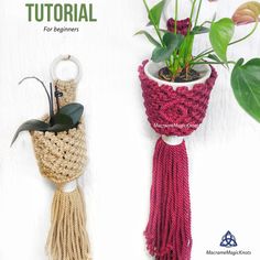 two crocheted plant hangers with plants in them