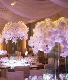 the tables are decorated with white flowers and draping