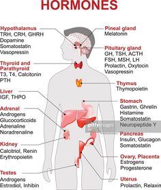 the anatomy of the human body with labels on it stock photo and royalty free images