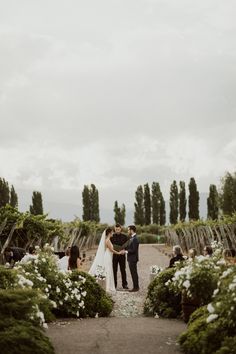 a bride and groom standing in the middle of a garden