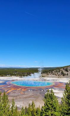 the blue and yellow water is surrounded by trees