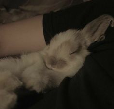 a person is holding a white cat with its eyes closed and it's head resting on their arm