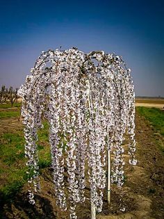 a white sculpture in the middle of a field