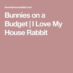 the words bunnies on a budget i love my house rabbit