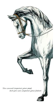 a drawing of a white horse with a bridle on it's back