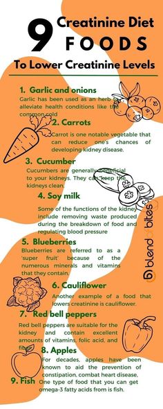 Foods that contain generous amounts of potassium should also be eradicated because high amounts of potassium foods can worsen the state of the kidney. Instead, fill your nutrition with beneficial foods that can help reduce creatinine in the body. Here are nine foods to lower creatinine. Creatinine Levels High Symptoms, Creatinine Lowering Foods, Lower Creatinine Levels, Food For Kidney Health, Potassium Foods, Man Recipes, Renal Diet Recipes