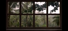 an open window with palm trees in the background