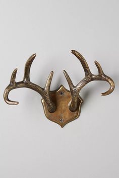 a deer's head mounted on the wall with two antlers attached to it