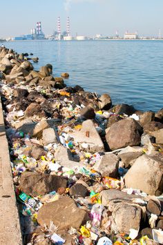 trash on the shore of a body of water