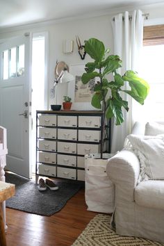 a living room filled with furniture and a potted plant on top of a dresser