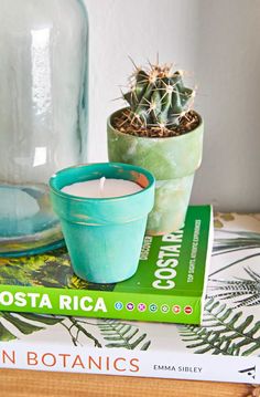 a candle and some books on a table with a cactus in a glass jar next to it