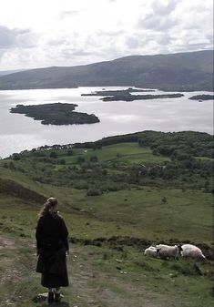 a woman standing on top of a lush green hillside next to sheep and lake in the distance