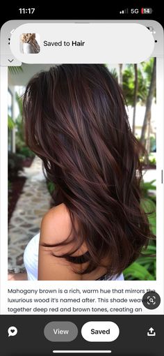 Brunette With Mahogany Highlights, Light Vs Dark Hair, Hair Trends Blonde, Balayage Fall Hair, Balayage Fall, Blonde To Brunette, Fall Hair Colors For Blondes, Hair Colors For Blondes